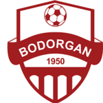 Bodorgan Juniors