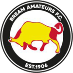 Bream Amateurs FC